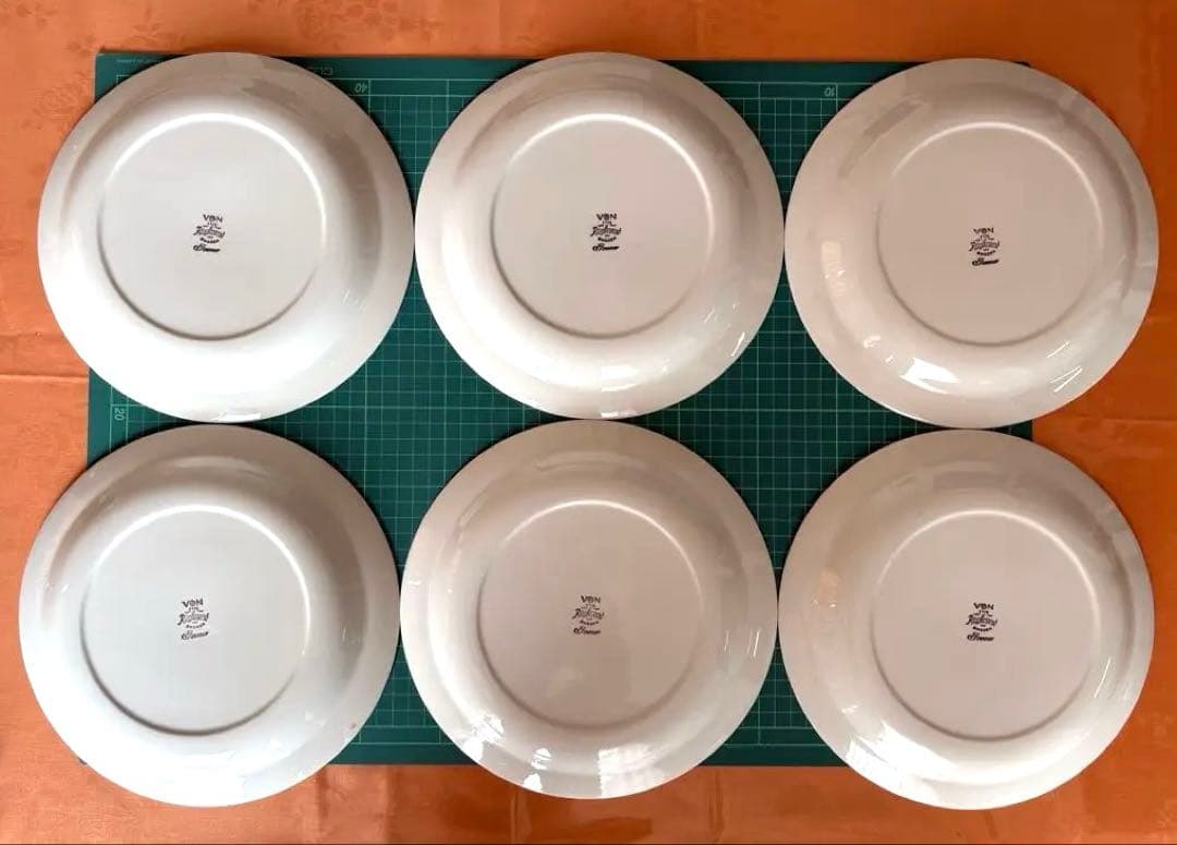 ロールストランド Rorstrand イレーネ 24cmプレート6枚 中古品 - メルカリ