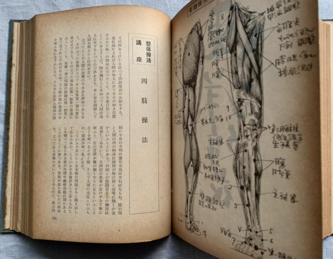 野口晴哉 幻の名著「全生談義」