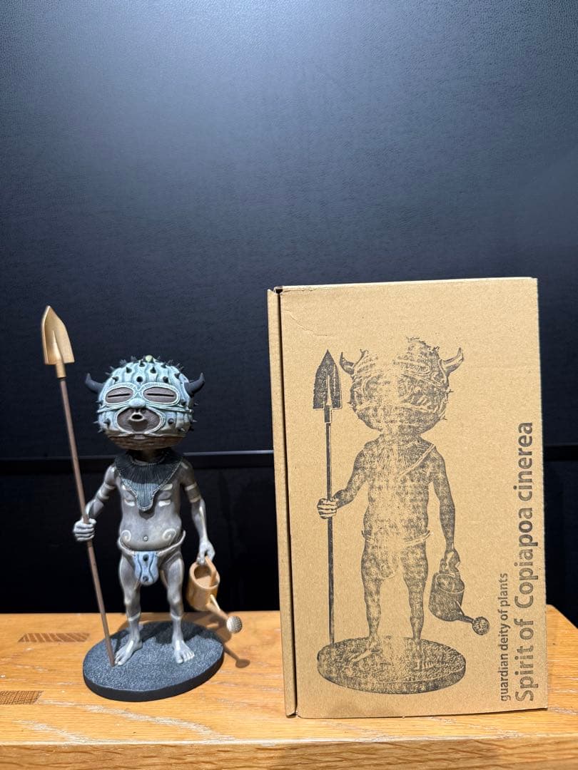 その他 Ozwrt Spirit of Copiapoa cinerea Copiapoa cinerea 黒王丸 Copiapoa cinerea var. columna-alba 孤竜丸