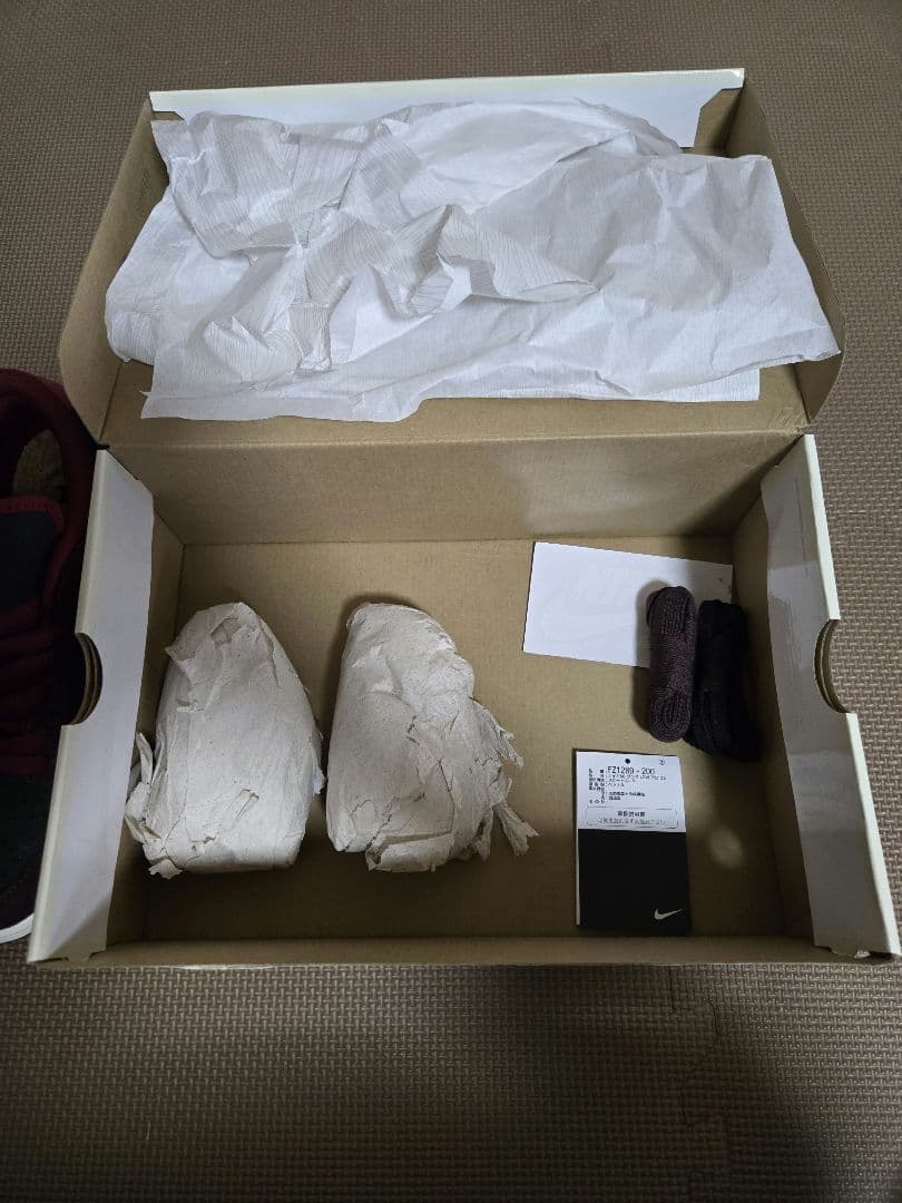 スケートボード Nike SB Dunk Low Riot Skate Bords 28.0cm