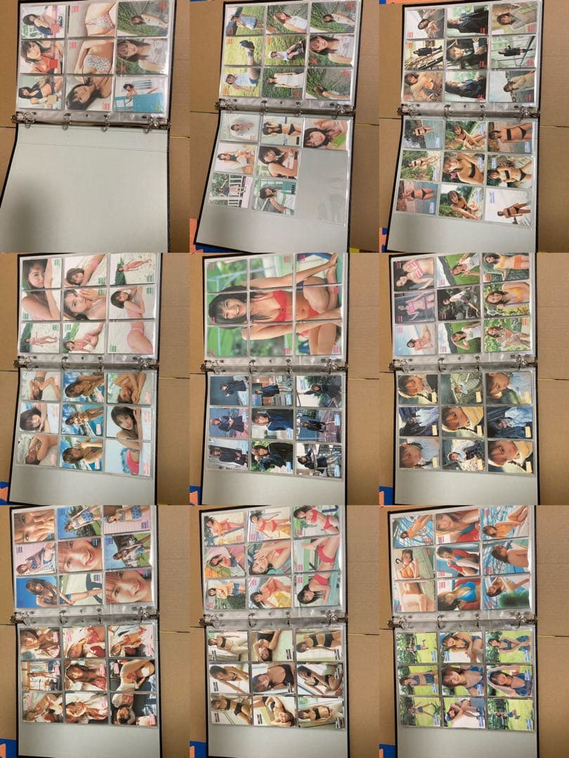 【タマちゃんさん専用】市川由衣　トレカ　DVD等