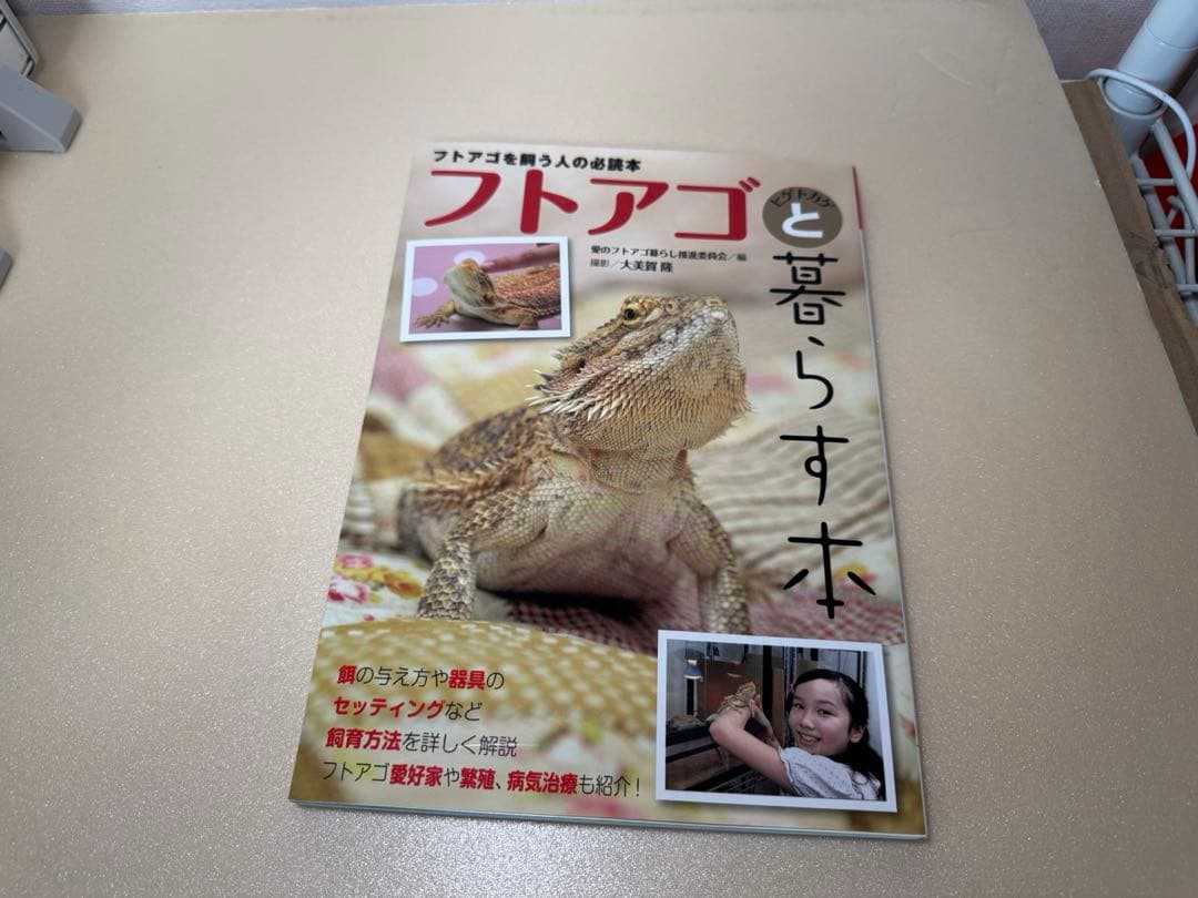 WildPlanet850ケース他フトアゴヒゲトカゲ飼育セット（現地引渡し