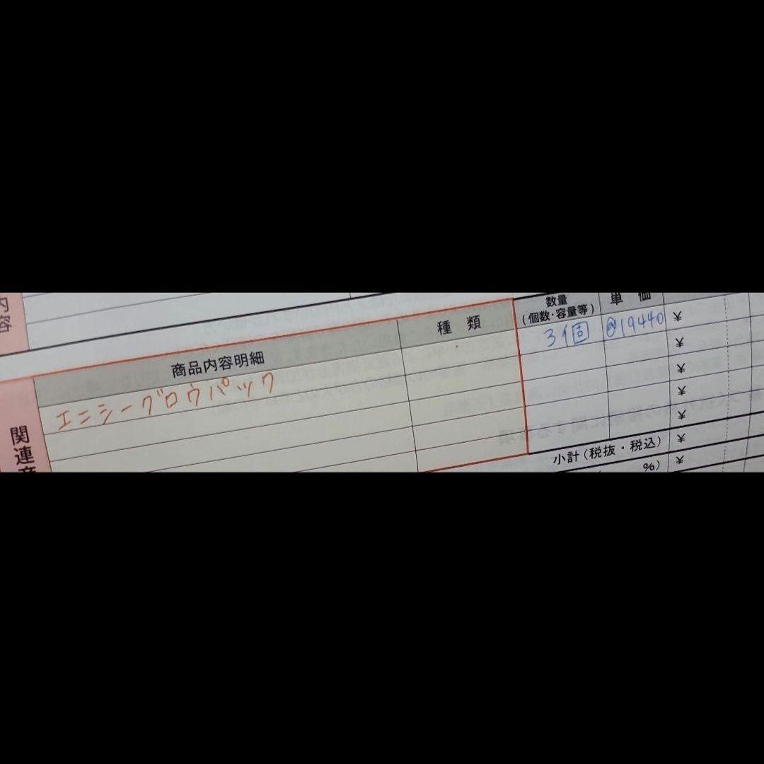 《専用》【ジャンク品】エニシー グローパック