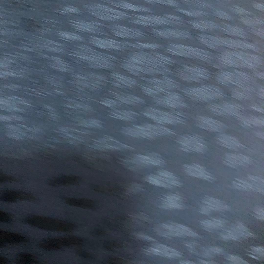 ☆タイムセール☆カッコいいと思う＊ベージュ￼ゼブラ浴衣セット