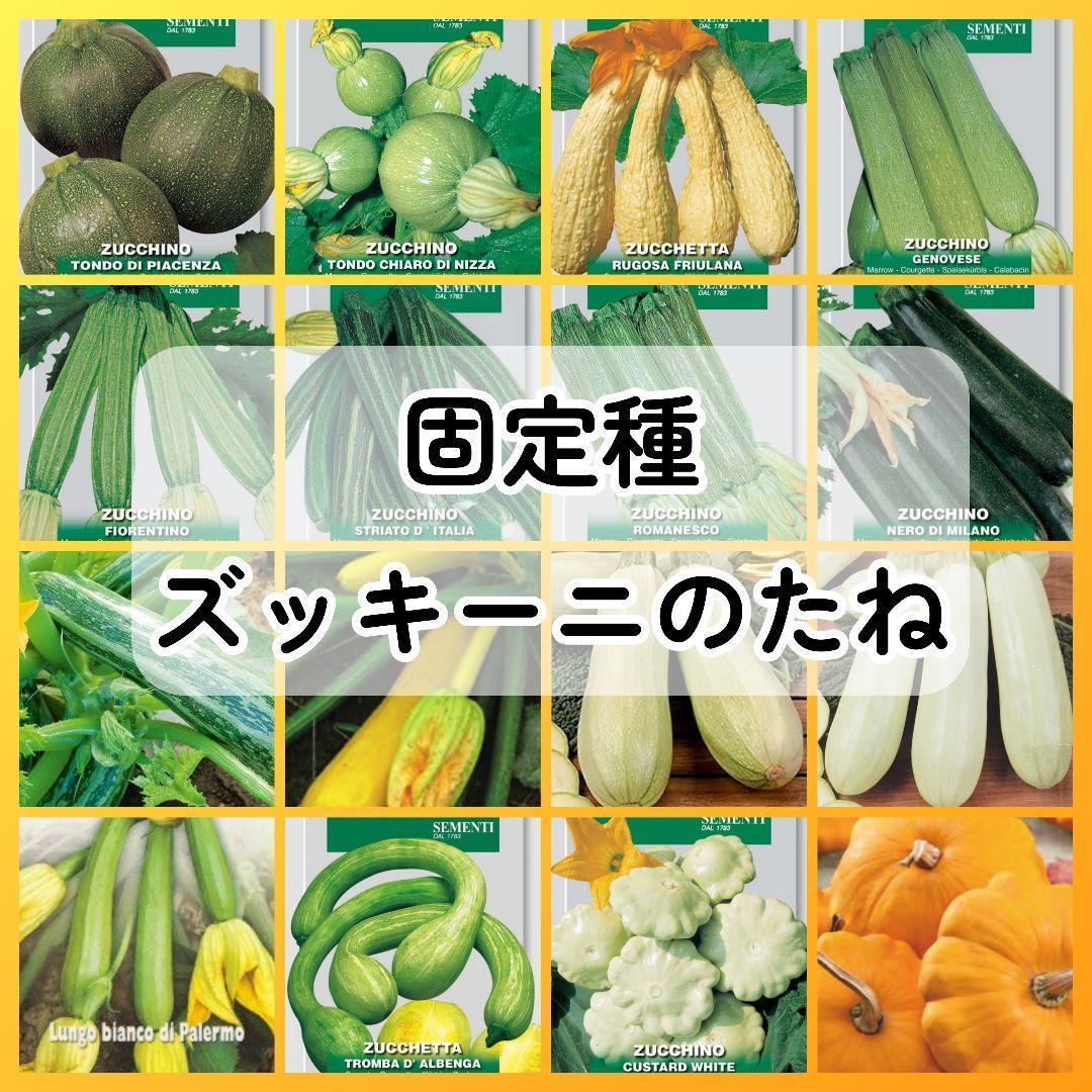 MN様 リクエスト 2点 まとめ商品 - メルカリ