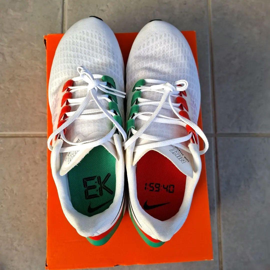 ナイキエアズームペガサス37EK 27.5cm