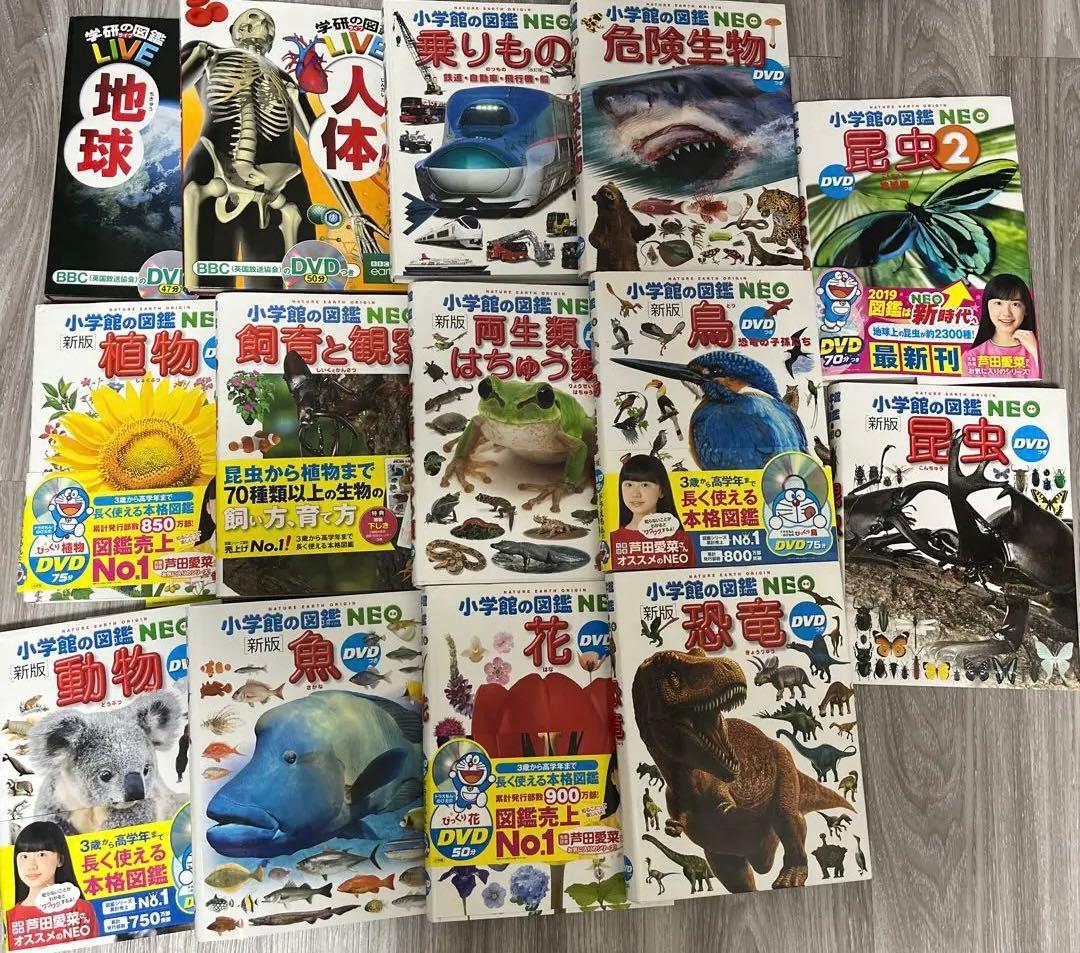 小学館の図鑑NEO 12冊➕学研の図鑑LIVE2冊　楽しみながら知識が身につく Amazon.co.jp: 小学館の図鑑NEO［新版］人間DVDつき (小学館の