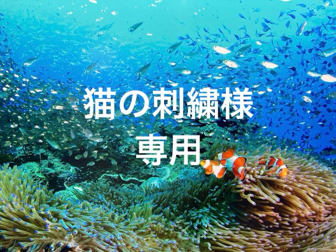エンビロンモイスチャークリーム4 Aブーストセラム A－ブーストセラム | environ.jp
