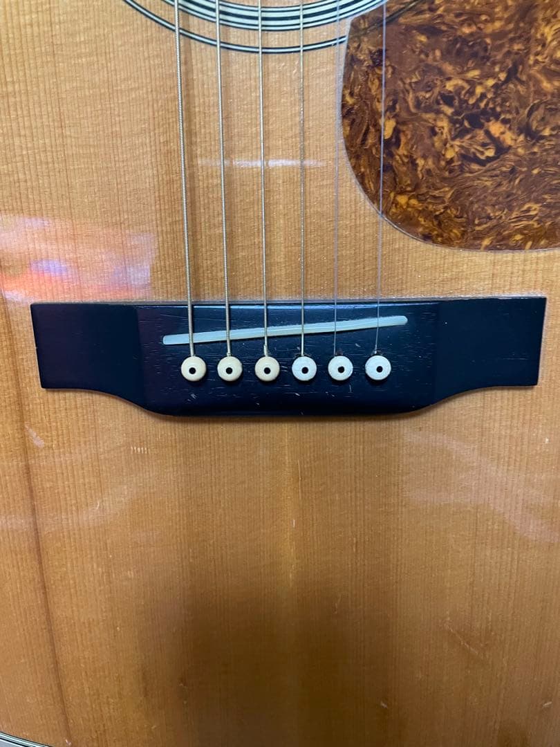 セールホビー・楽器・アート - モーリス MF212 縦ロゴ L.R Baggs m80