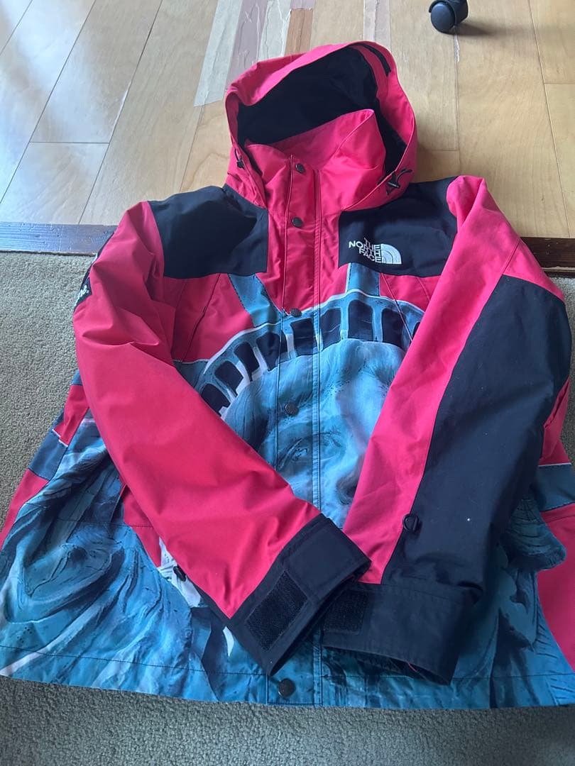 THE NORTH FACE × Supreme 自由の女神 Supreme (シュプリーム) ×THE NORTH FACE 自由の女神 バルトロ ダウン