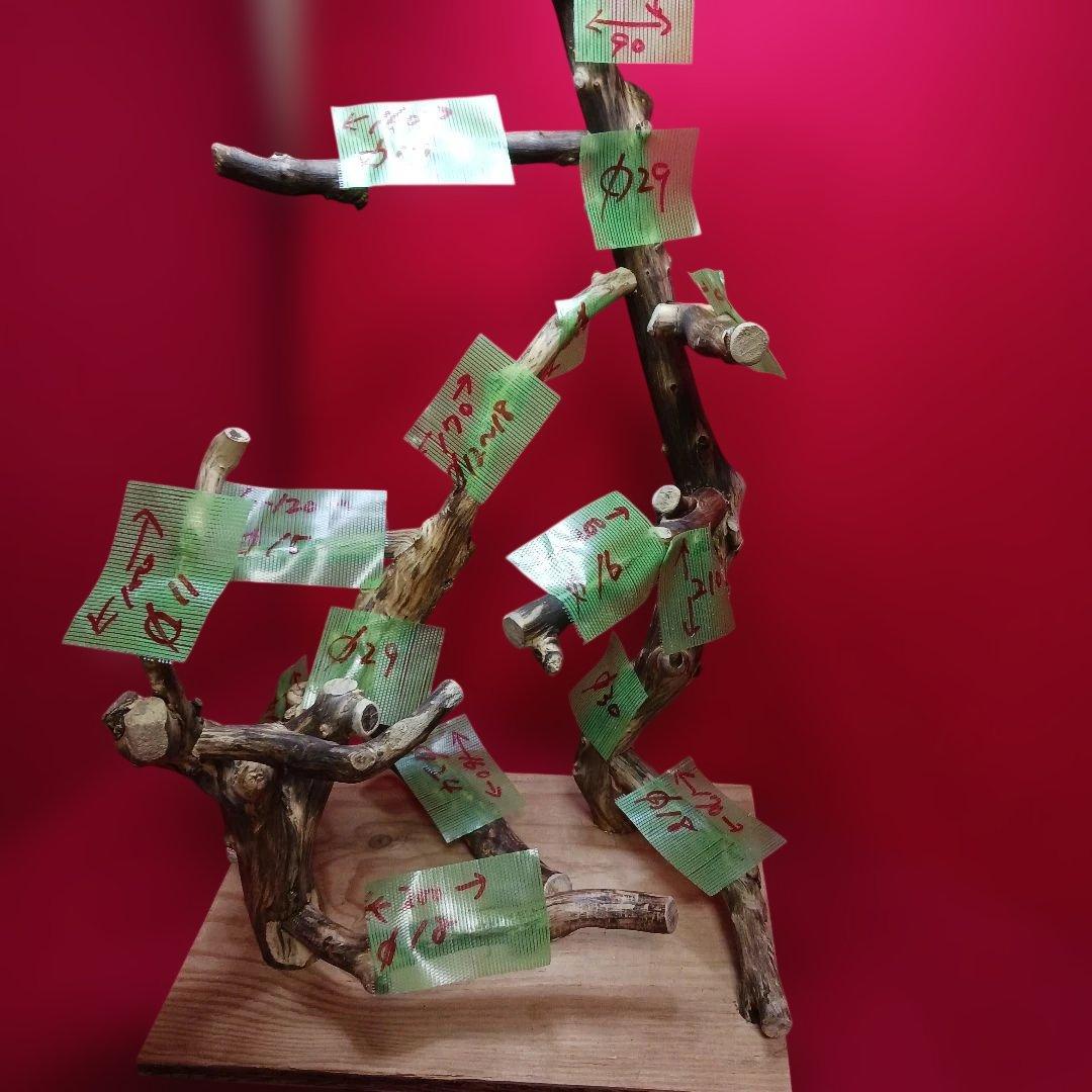 バードアスレチック バードアスレチックジム 卓上型止まり木 No.223