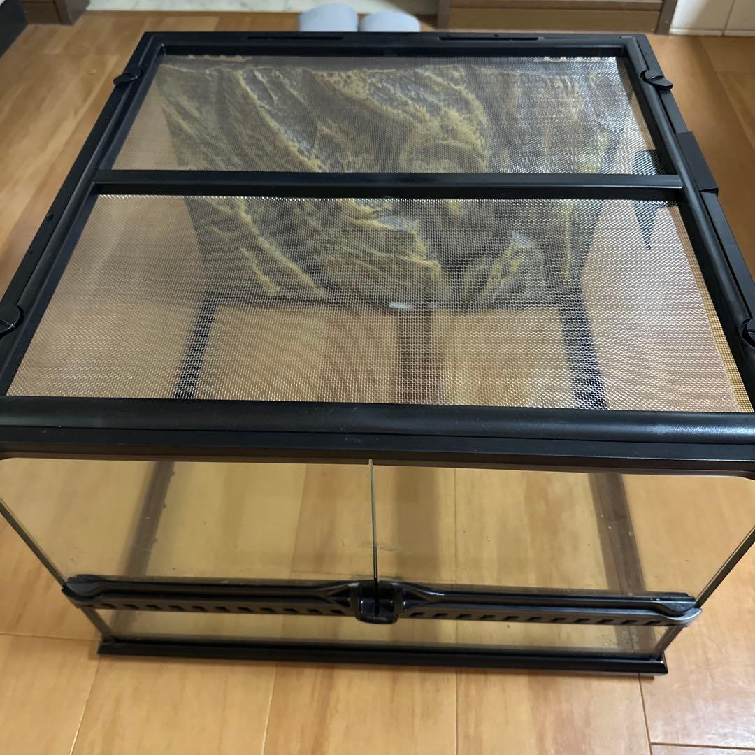 GEX EXOTERRA グラステラリウム4545 グラステラリウム4545 エキゾテラ GEX ガラス飼育ケージ 販売 通販