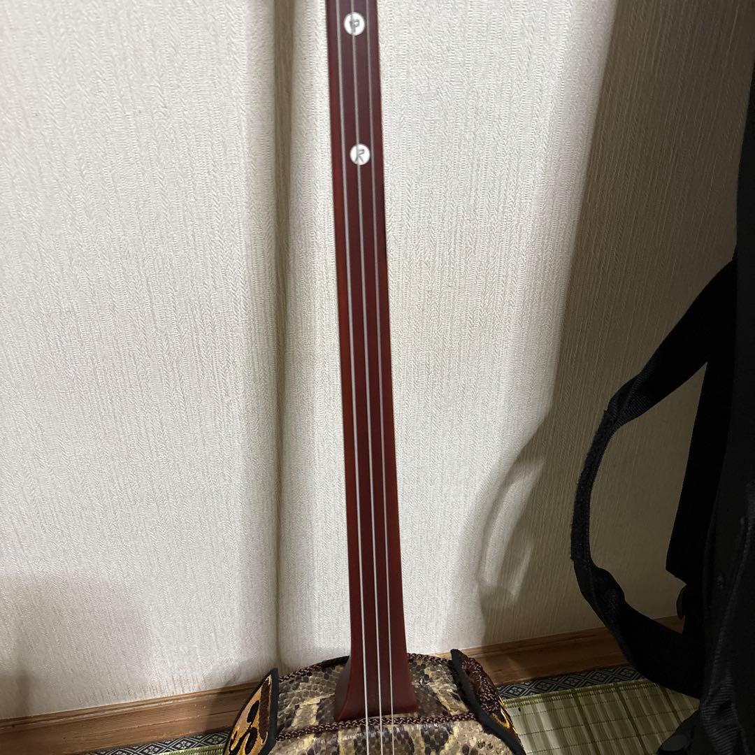 三線 蛇三線 本皮 本革 蛇皮 蛇革 三味線 琉球 沖縄 楽器 ソフトケース