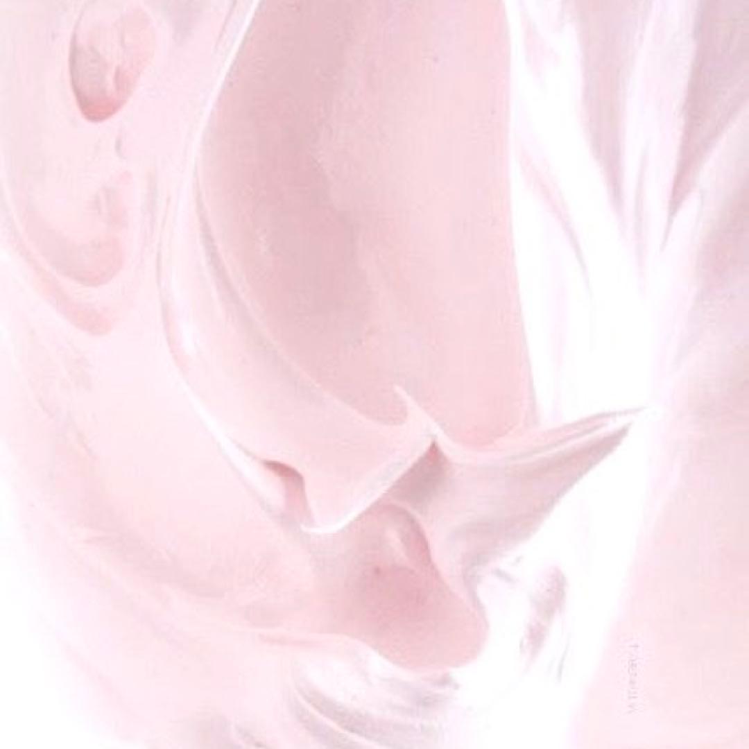 ぱん。@プロフご確認お願いしますページ An＊プロフご確認ください様確認用 2026年最新】プロフご確認下さいの