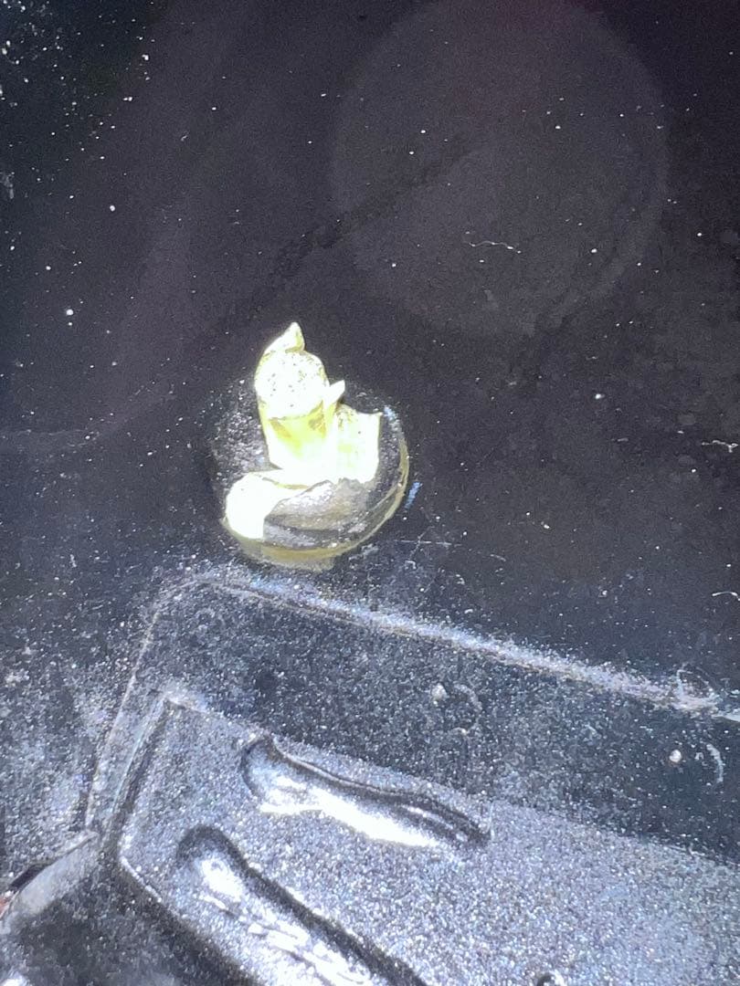 値下げ GSX400インパルス タンク 内部コーティング済み GK79A - メルカリ