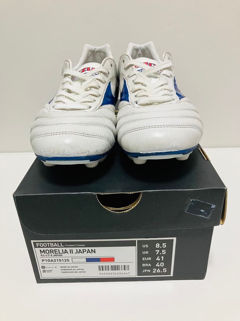 【値下げ】限定カラー　モレリアII Japan 26.5cm