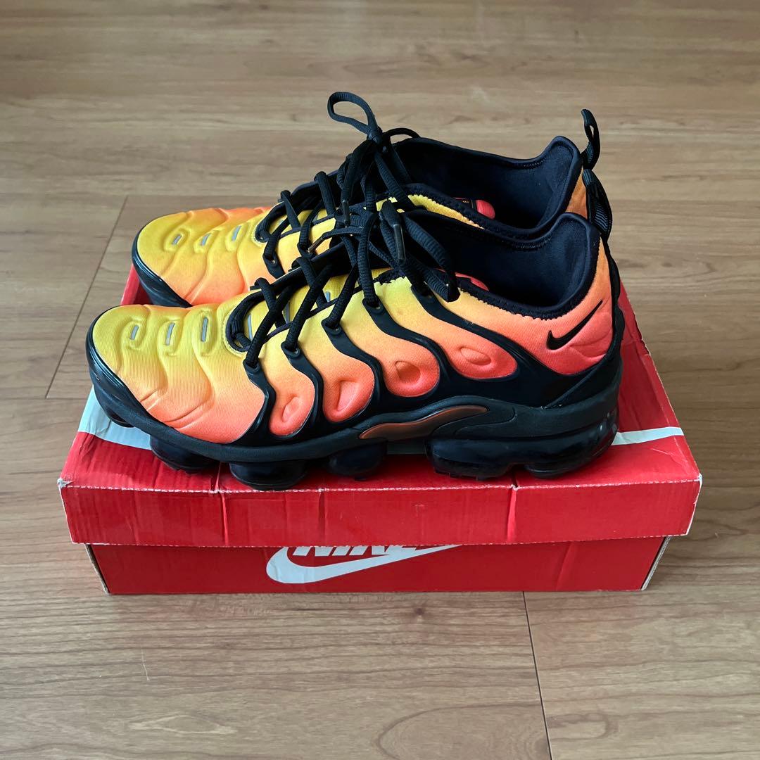 enoi ゼリーマグ mg200-209 10色セット(約1.5g 半量程度)-直営の公式