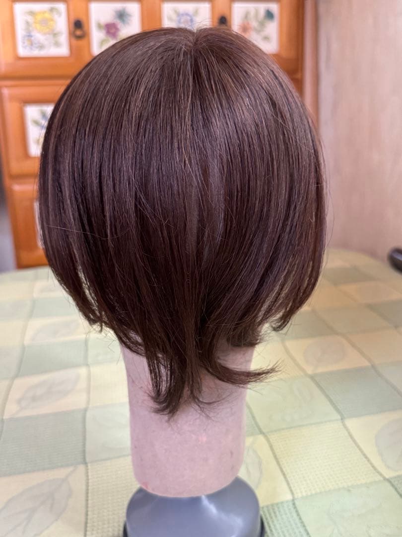 お値下げしました＊アートネイチャーJOヘアピース