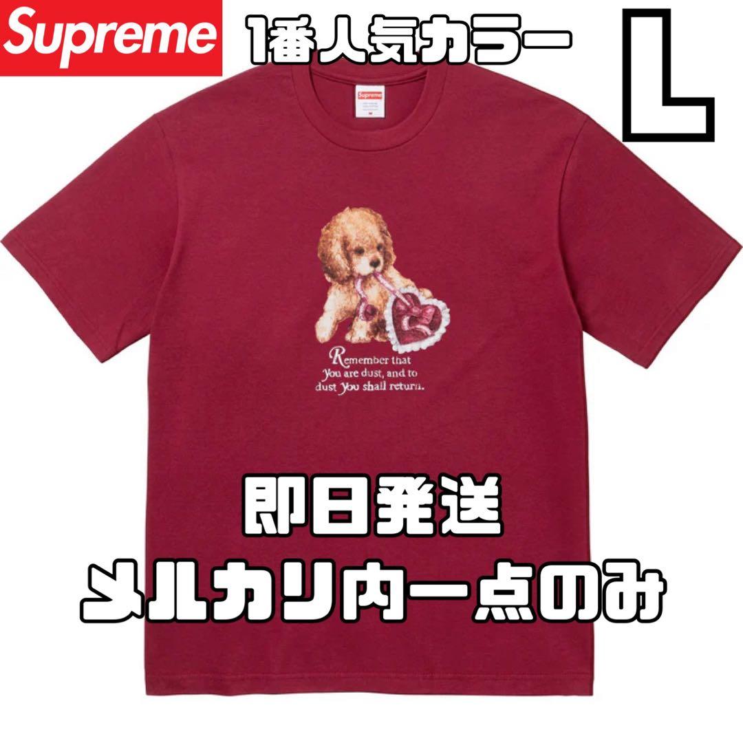 Lサイズ Supreme Dust Tee 