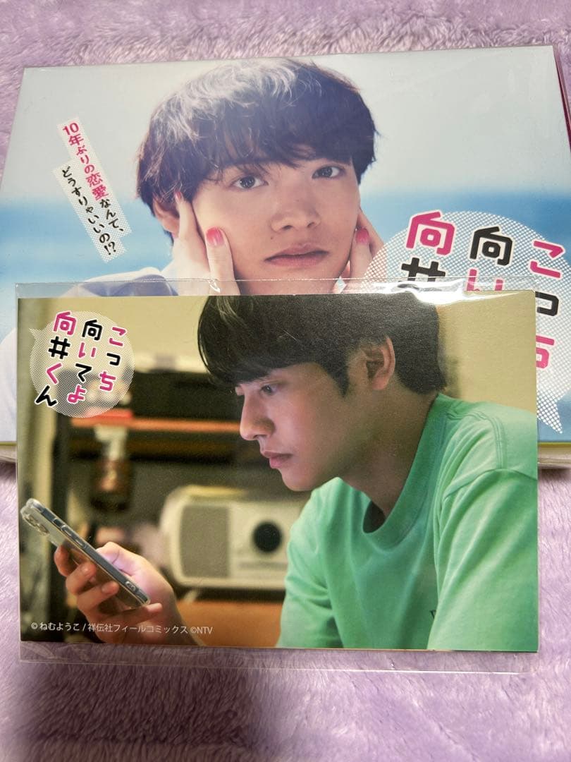 こっち向いてよ向井くん Blu-ray BOX〈6枚組〉 ポストカード付き未開封 Amazon.co.jp: こっち向いてよ向井くん Blu-ray BOX : 赤楚衛二: DVD