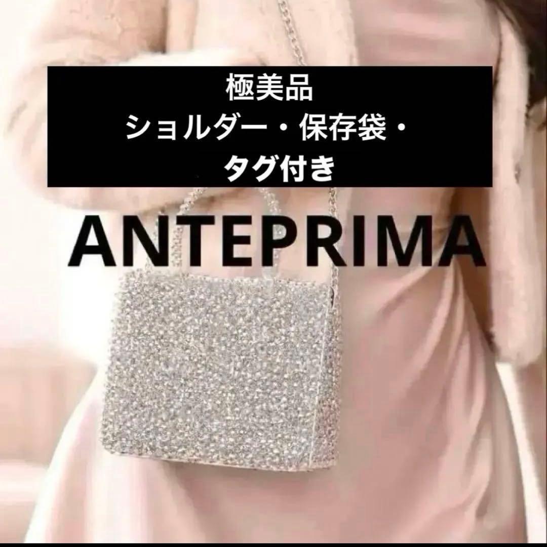 極美品】保存袋・カード アンテプリマミニアトゥーラ チェーン 2WAY