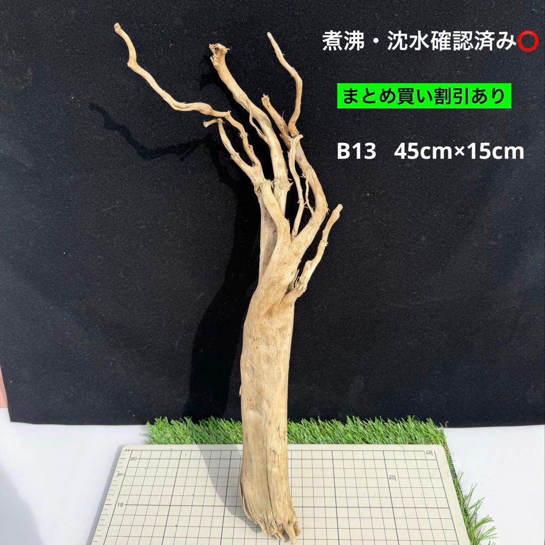 煮沸・沈水確認済み】 B13 天然流木 アクアリウム、爬虫類用 - メルカリ