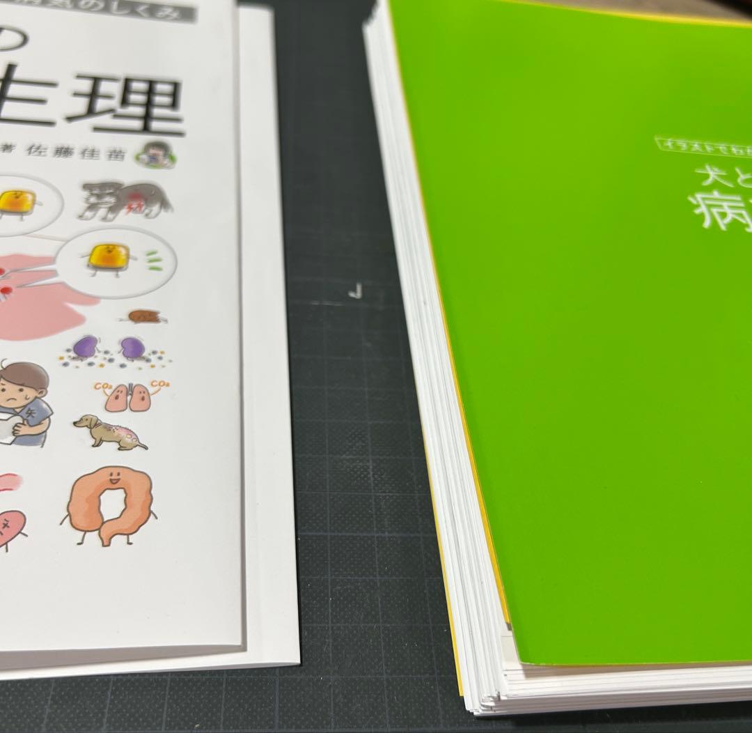 は*認様 【裁断済】イラストでわかる! 病気のしくみ 犬と猫の病態生理