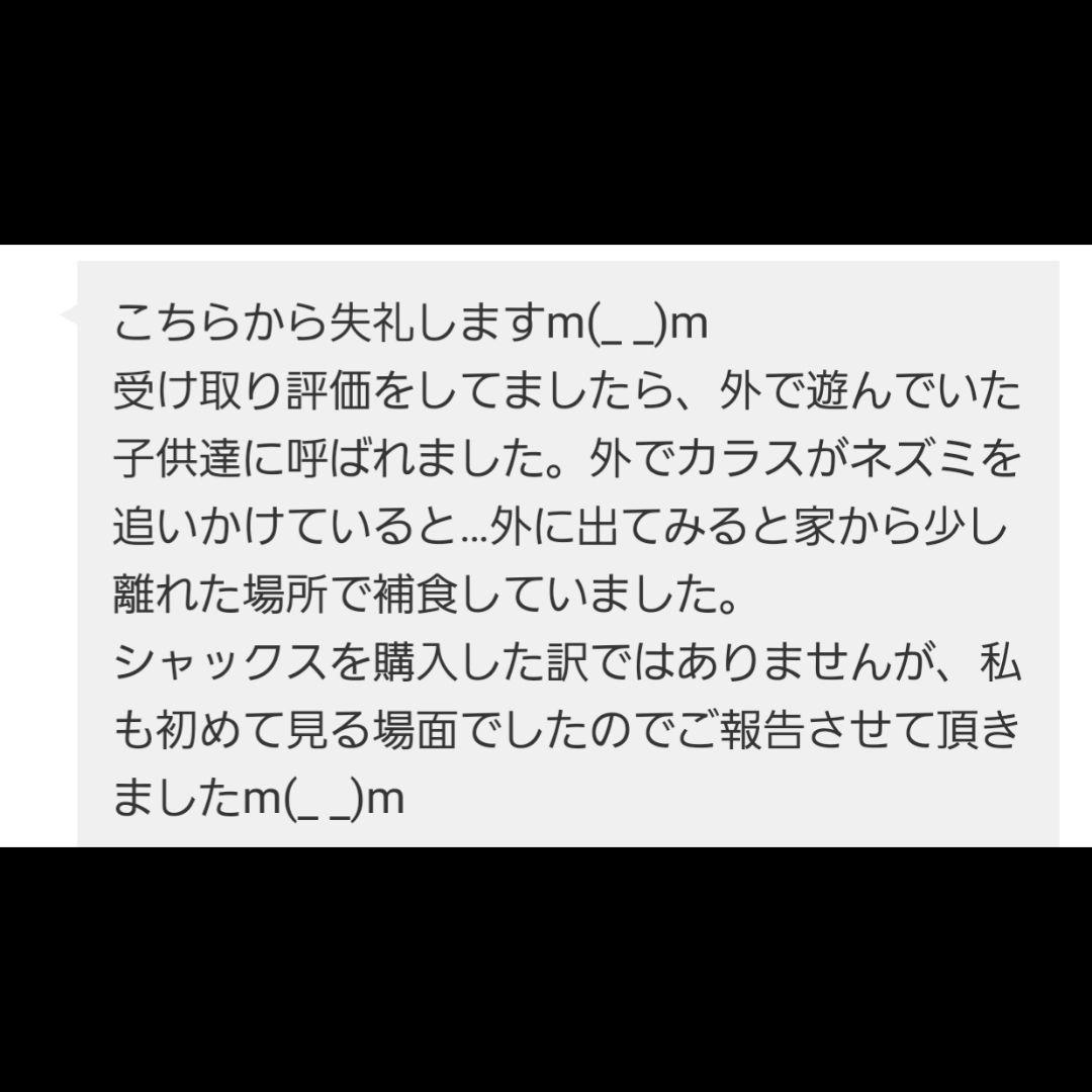 【1点物】 ソロモン王の鍵 護符魔術オルゴンボックス〜土星《禁断の魔弾の箱》〜