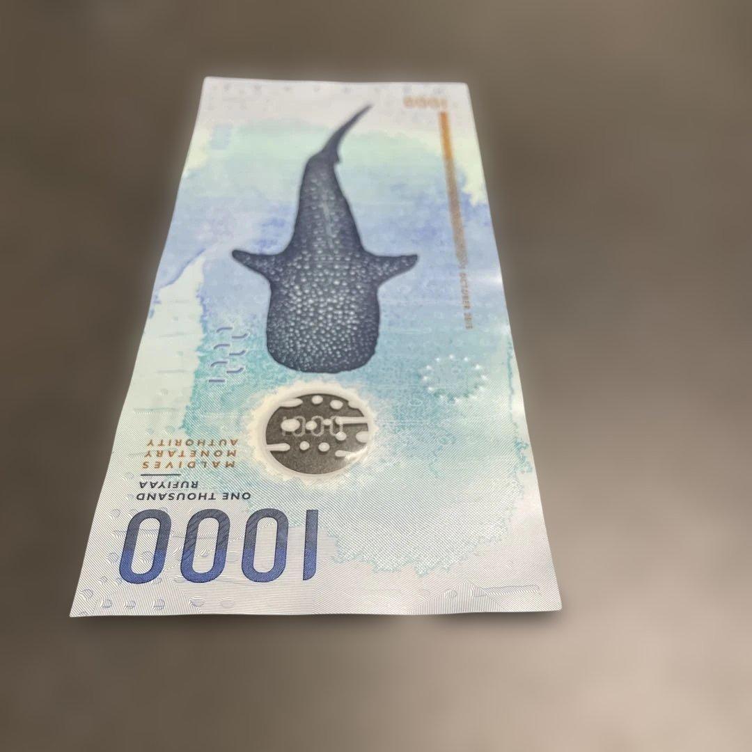 モルディブ紙幣1000ルフィヤ（MVR）紙幣（海亀・ジンベイザメ） - メルカリ