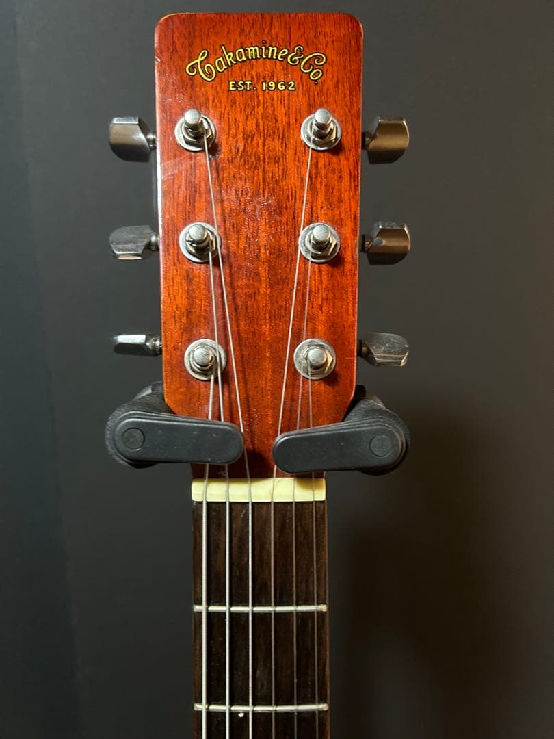 TAMINE TD23 オールマホガニーボディ - karlan-architects.com