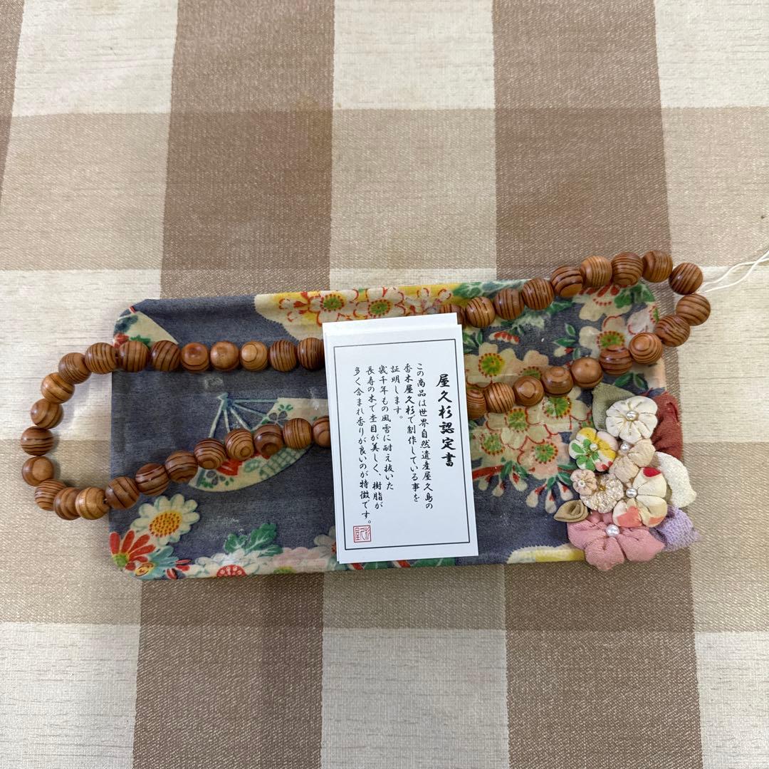 かめ！ページです。 41gRrkZpM7L._AC_UF350,