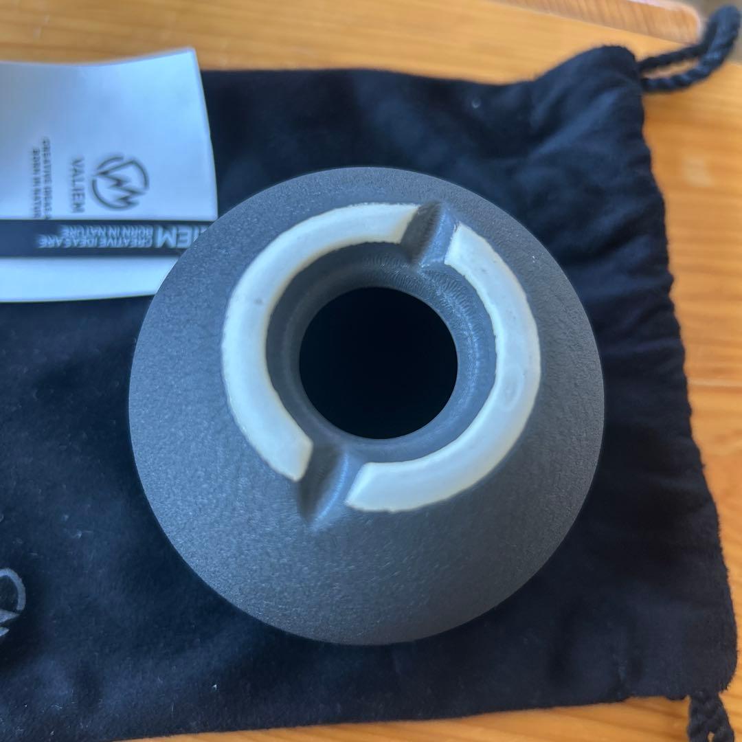 VALIEM グレー 陶器製植木鉢 青坊主 xsサイズ