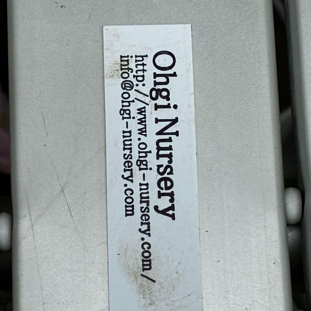 ま*ぎ様 3538☘️蕾花タグ付き☘️⭐️渋み紅ピンク⭐️超小輪⭐️超コンパクト