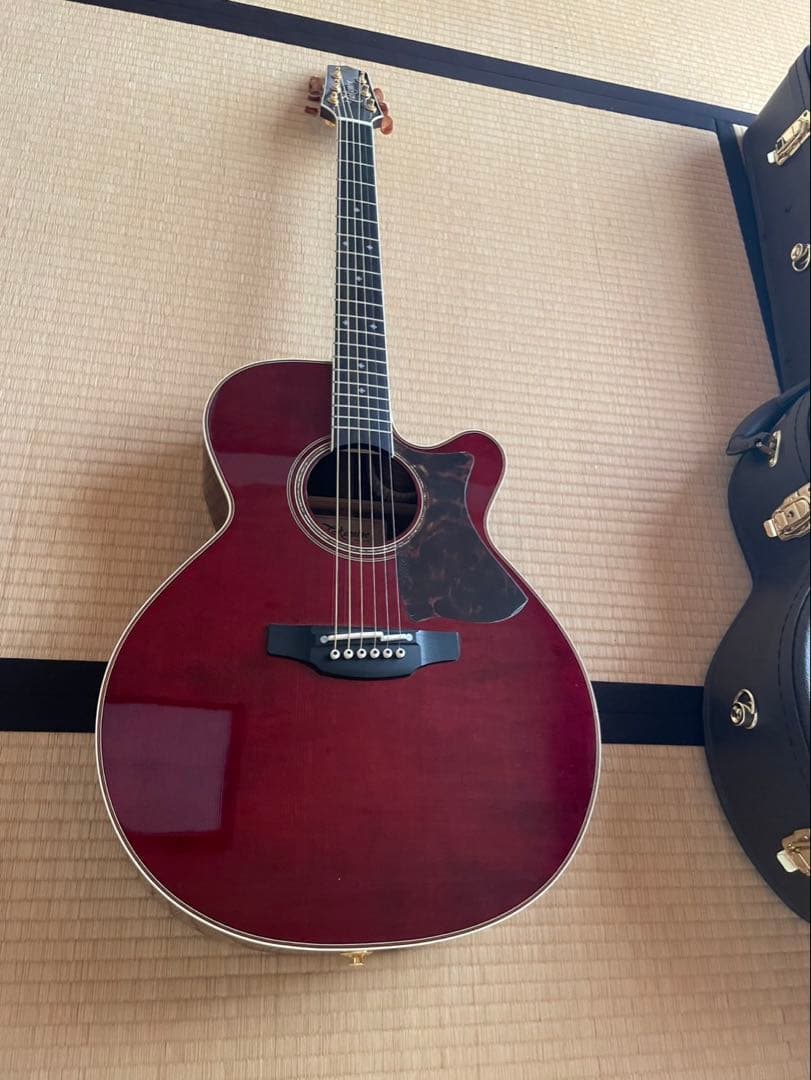 Takamine DMP50S WR アコースティックギター Takamine DMP50S WR エレアコギター セミハードケース付属 【島村楽器