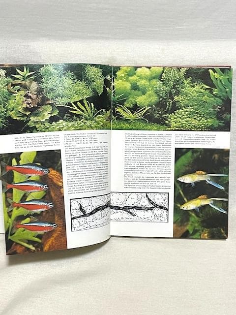 超希少ダッチアクアリウムの聖書 Das Wunder im Wohnzimmer - work