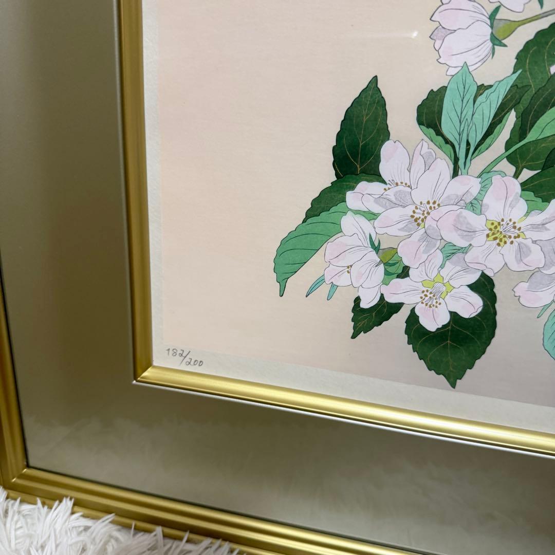 美品】中島千波 木版画 りんごの春 額装 サイン入り 箱付 限定200部