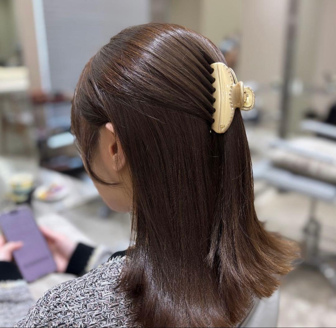 ALEXANDRE DE PARIS スワロフスキー　ヴァンドームクリップ アレクサンドル ドゥ パリ ヘアクリップ レディース ブランド