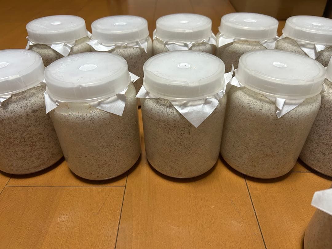 神長きのこ園S8カンタケ菌糸ボトル 800cc10本、1400cc1本 菌糸ビン