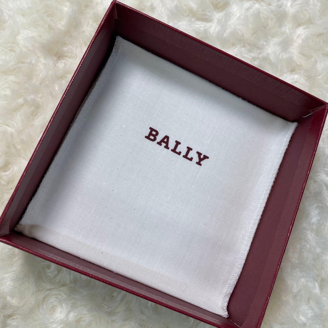 ワールド7様 専用ページ BALLYブラックラインL10個まとめ - メルカリ