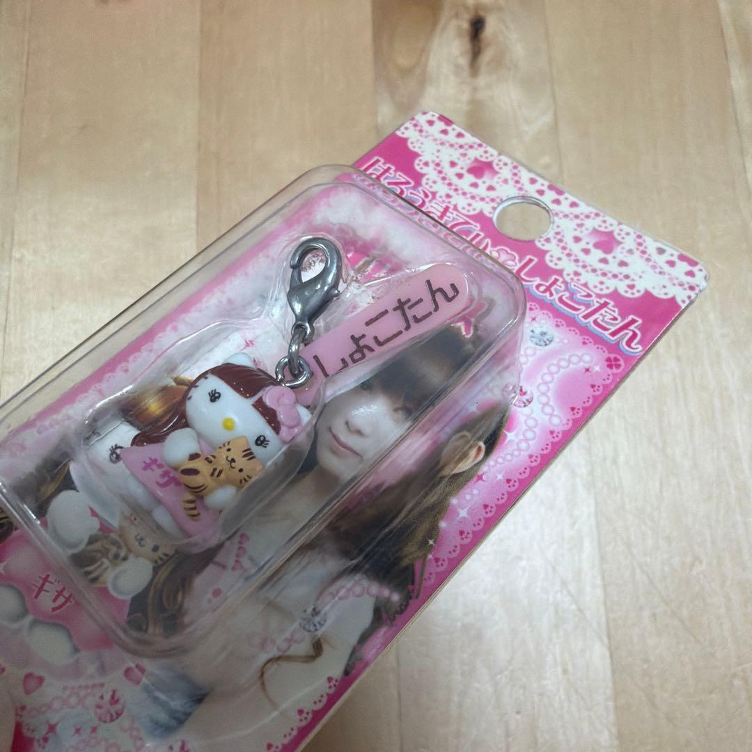 中川翔子☆しょこたん☆ハローキティ☆ファスナーマスコット☆ご当地