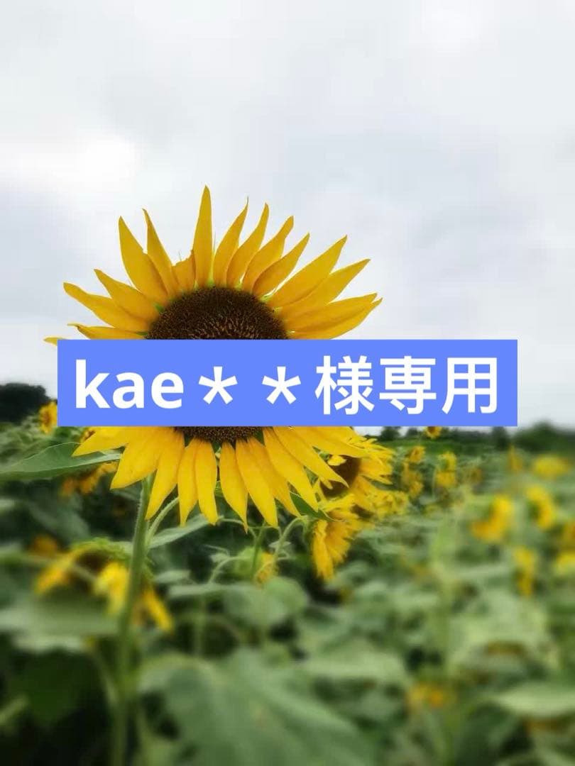 4点まとめ トリックスター】ZX-4R政府認証フルエキゾーストマフラーを発売開始