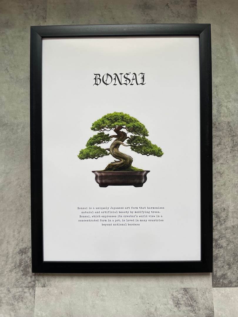 MACCHO †13† さん用 フレーム無しセット