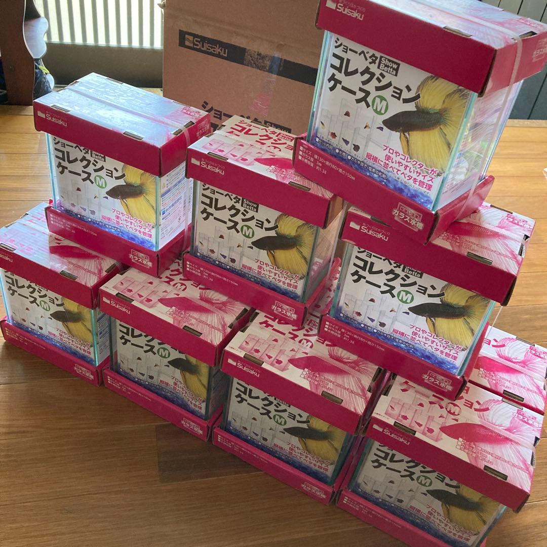 Suisaku ショーベタ コレクションケース M 12個 楽天市場】水作 ガラス水槽 ショーベタ コレクションケース М ベタ