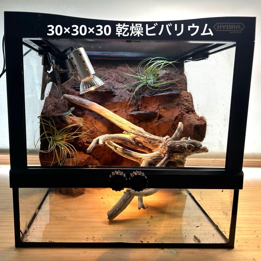 乾燥地帯ビバリウム　爬虫類ケース　ケージ　カナヘビ　トカゲ Amazon | 爬虫類 ケージ トカゲ ケージ カナヘビ飼育ケース レプタイル