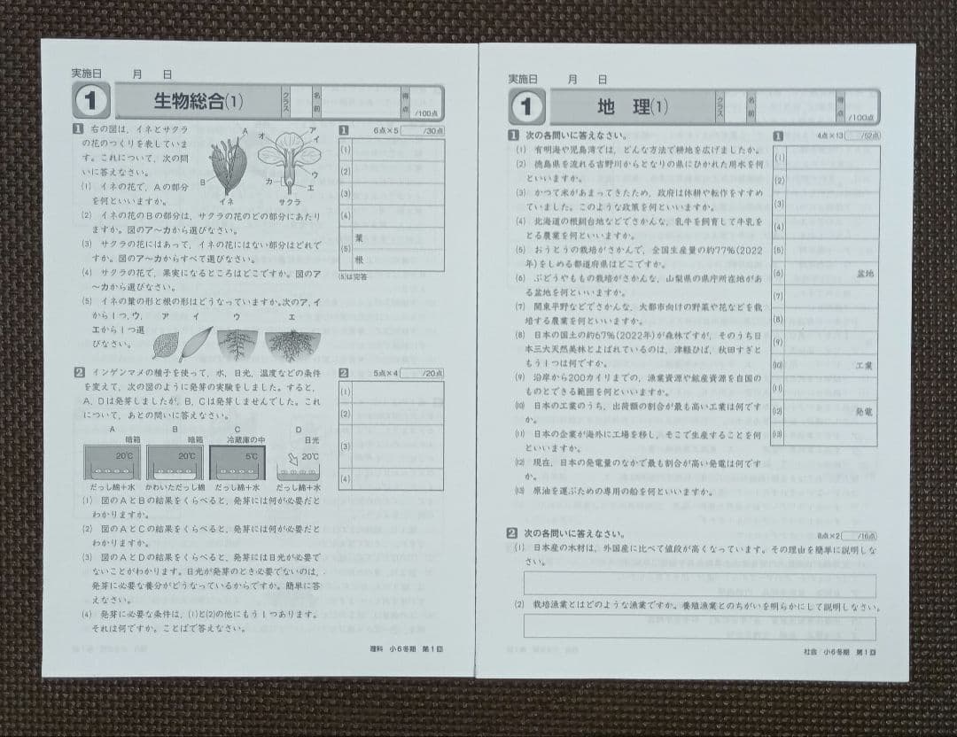 小6 冬期講習 早稲田アカデミー 6年生 早稲アカ 上位校 2024年