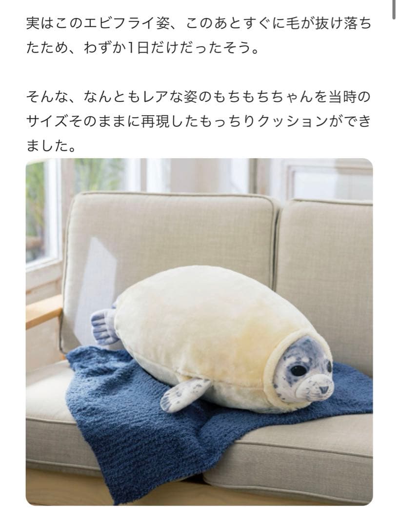 アザラシのもちもちちゃん 換毛期エビフライクッション 約80cm - メルカリ