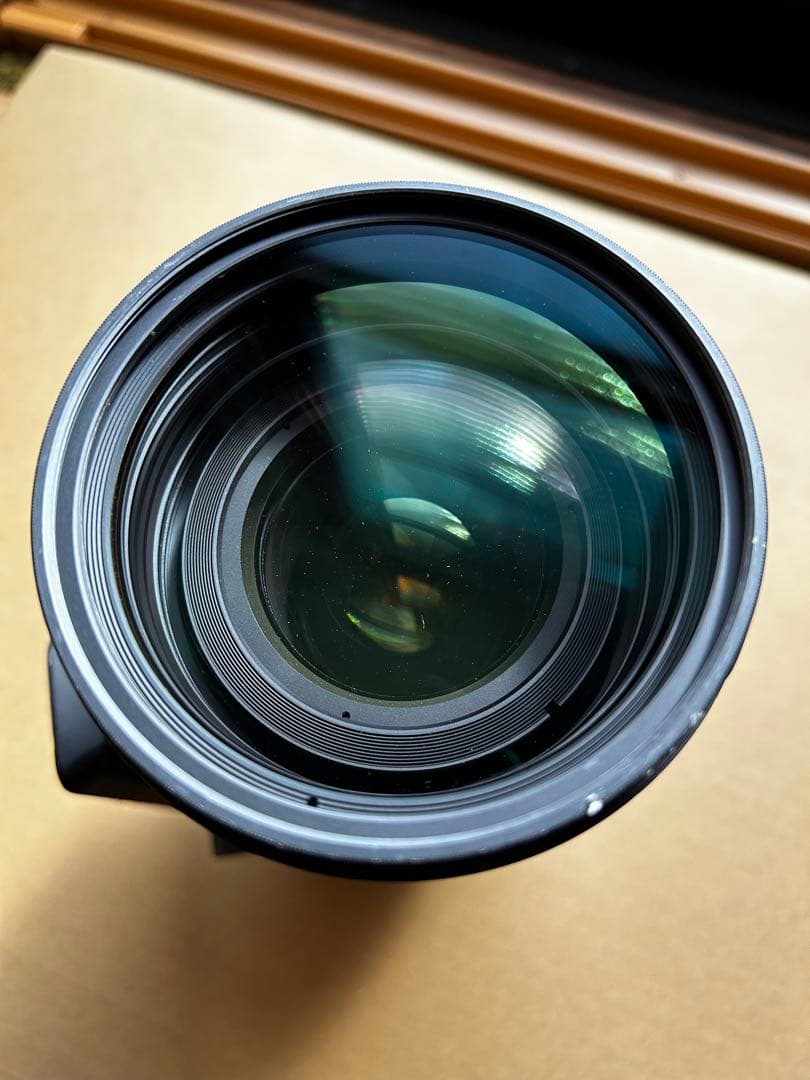 シグマ 50-500mm F4.5-6.3 APO DG OS HSM