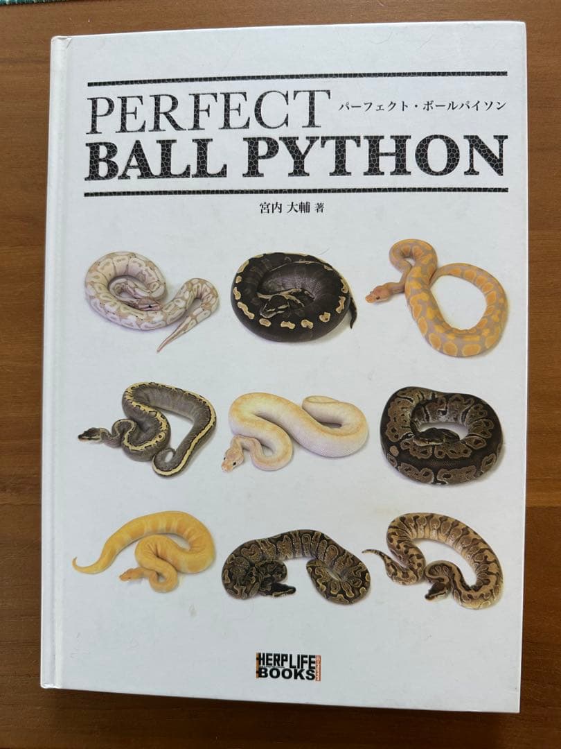 パーフェクト　ボールパイソン　PERFECT BALL PYTHON REP FAN レプファン Vol.21 PERFECT BALL PYTHON RETURNS