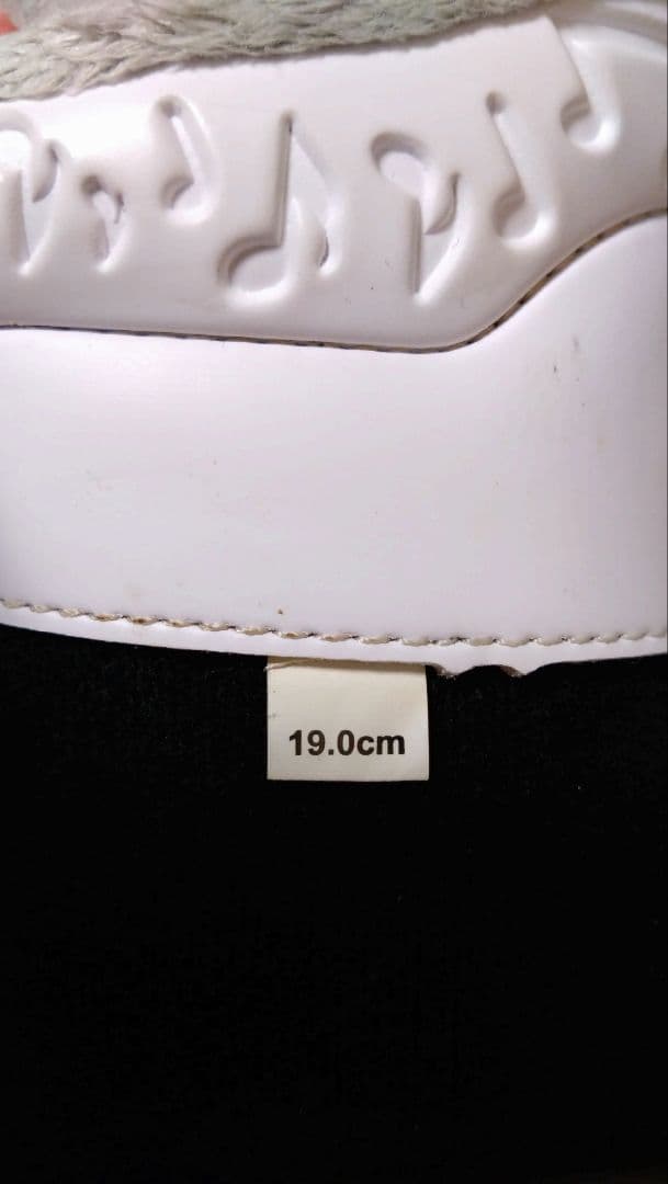 ピュアコンシャス スキー板 110cm HELD ブーツ 19cm セット - メルカリ