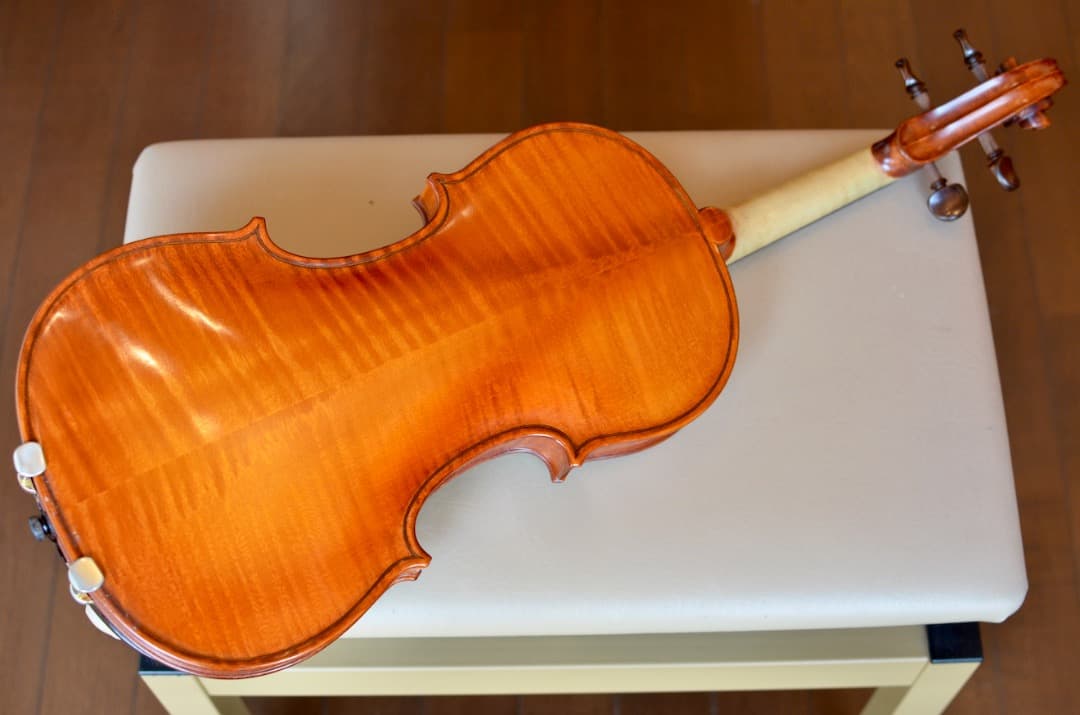 GLIGA 【美音良品】Gliga GEMS 4/4 バイオリン カスタム セット